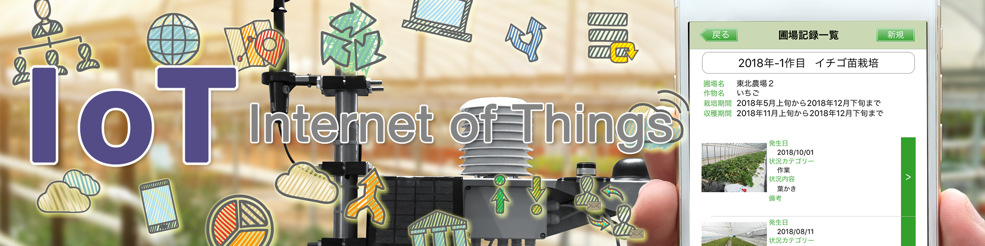 IoTやAIを活用したシステムの開発